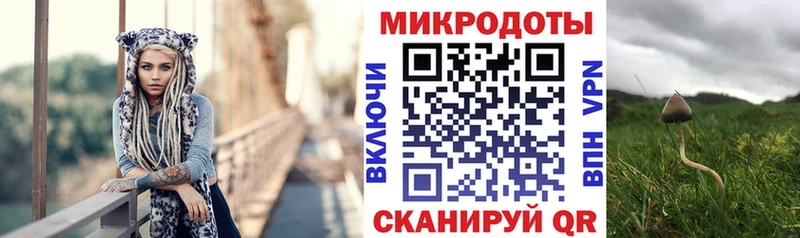 цена   Приволжск  Псилоцибиновые грибы мухоморы 
